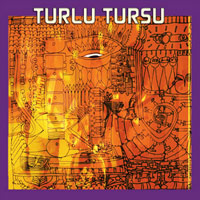 Turlu Tursu